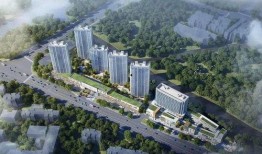 登封市最新爆料消息今天,最新事件引发社会关注！”